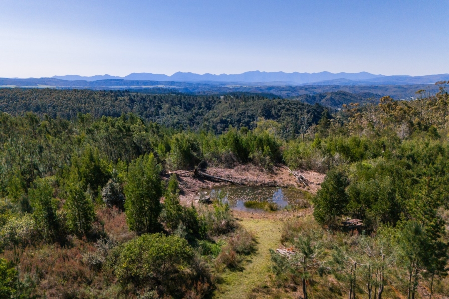 Commercial Property for Sale in Plettenberg Bay Rural Western Cape